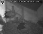 Capi_Dubne_20250417_205002.jpg