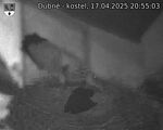 Capi_Dubne_20250417_205503.jpg