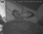 Capi_Dubne_20250417_210502.jpg