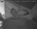 Capi_Dubne_20250417_213002.jpg