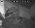 Capi_Dubne_20250417_213502.jpg