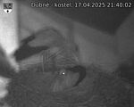 Capi_Dubne_20250417_214002.jpg
