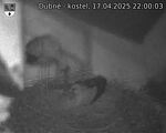 Capi_Dubne_20250417_220003.jpg