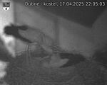 Capi_Dubne_20250417_220503.jpg