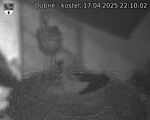 Capi_Dubne_20250417_221002.jpg