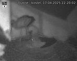 Capi_Dubne_20250417_222002.jpg