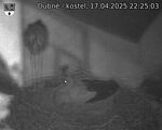 Capi_Dubne_20250417_222503.jpg