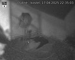 Capi_Dubne_20250417_223503.jpg