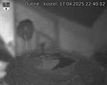 Capi_Dubne_20250417_224002.jpg