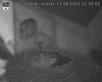 Capi_Dubne_20250417_225002.jpg