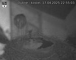 Capi_Dubne_20250417_225503.jpg