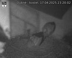 Capi_Dubne_20250417_232002.jpg