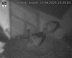 Capi_Dubne_20250417_232503.jpg