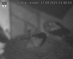 Capi_Dubne_20250417_234003.jpg