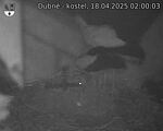 Capi_Dubne_20250418_020003.jpg