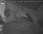 Capi_Dubne_20250418_031503.jpg