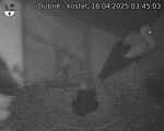 Capi_Dubne_20250418_034503.jpg