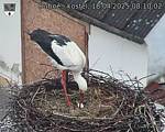 Capi_Dubne_20250418_081002.jpg