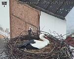 Capi_Dubne_20250418_081503.jpg