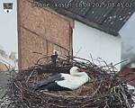 Capi_Dubne_20250418_084502.jpg