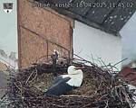 Capi_Dubne_20250418_114502.jpg