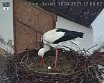 Capi_Dubne_20250418_120002.jpg