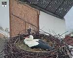 Capi_Dubne_20250418_123002.jpg