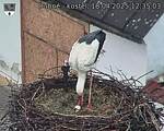 Capi_Dubne_20250418_123503.jpg