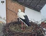 Capi_Dubne_20250418_125502.jpg