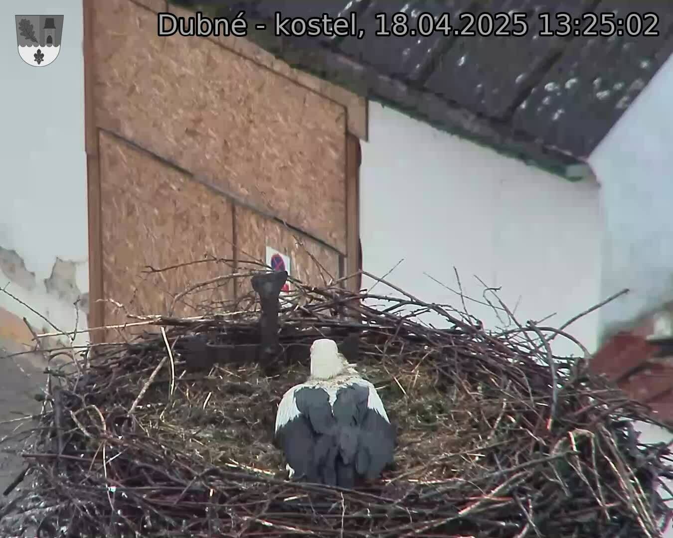 Capi_Dubne_20250418_132502.jpg (1350 x 1080)