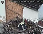 Capi_Dubne_20250418_150002.jpg