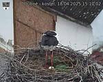 Capi_Dubne_20250418_151002.jpg