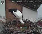 Capi_Dubne_20250418_151503.jpg