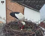 Capi_Dubne_20250418_165503.jpg