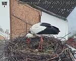 Capi_Dubne_20250418_170002.jpg