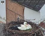 Capi_Dubne_20250418_183504.jpg