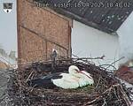 Capi_Dubne_20250418_184003.jpg