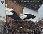 Capi_Dubne_20250418_191002.jpg