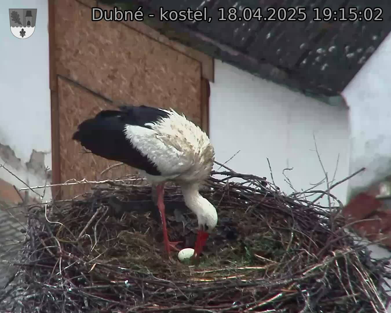 Capi_Dubne_20250418_191502.jpg (1350 x 1080)