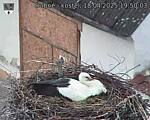 Capi_Dubne_20250418_195003.jpg