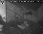 Capi_Dubne_20250418_211003.jpg