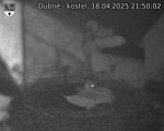 Capi_Dubne_20250418_215002.jpg