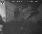 Capi_Dubne_20250418_220003.jpg