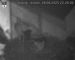 Capi_Dubne_20250418_222002.jpg