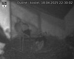 Capi_Dubne_20250418_223002.jpg