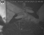 Capi_Dubne_20250418_224503.jpg