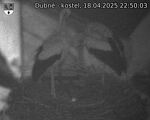 Capi_Dubne_20250418_225003.jpg