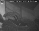 Capi_Dubne_20250418_232003.jpg