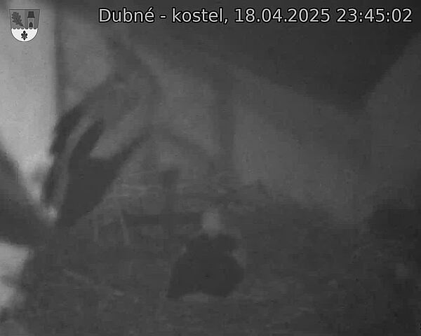 Capi_Dubne_20250418_234502.jpg (1350 x 1080)