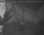 Capi_Dubne_20250418_235503.jpg